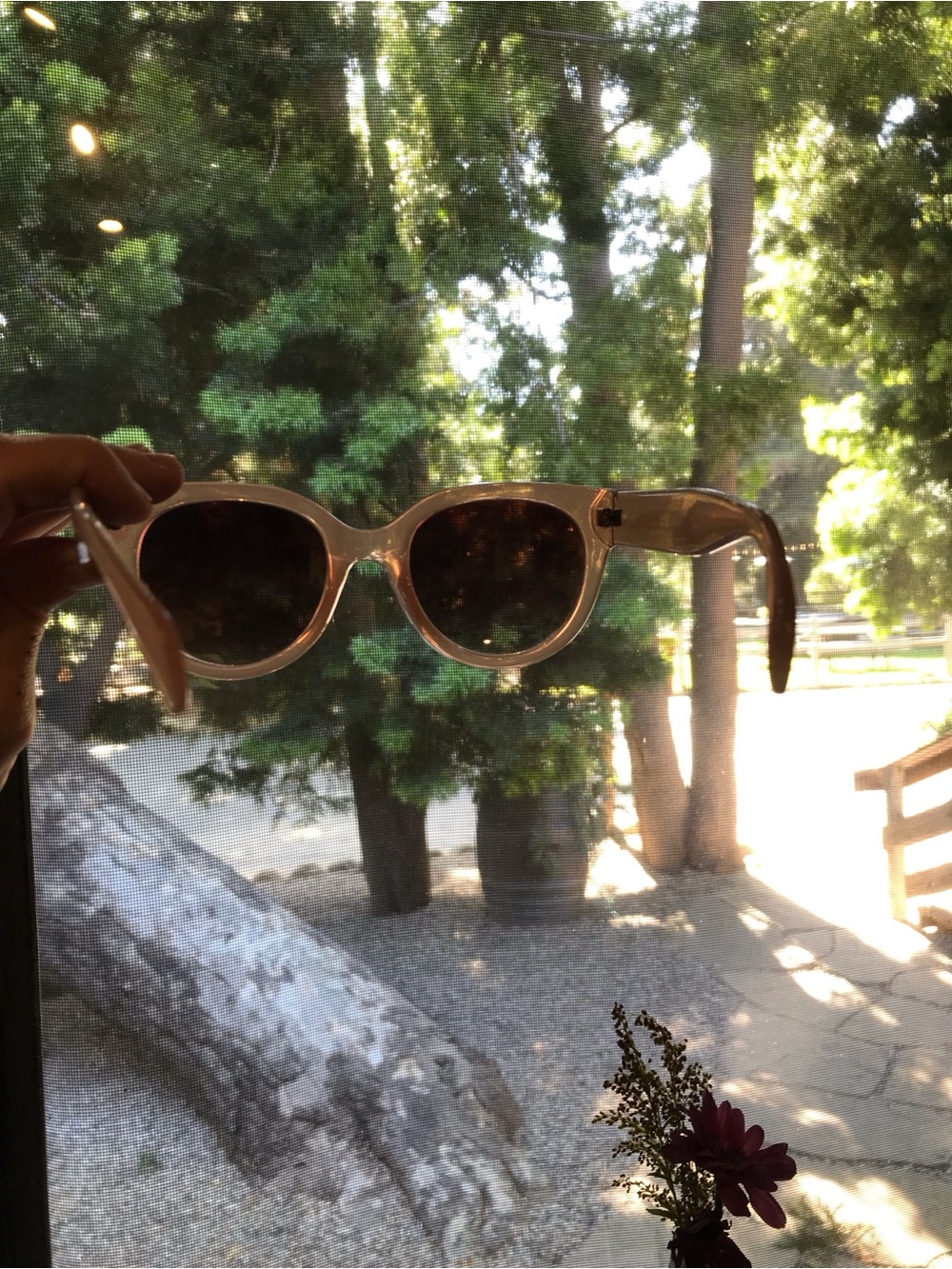 Classic Rounded Frame Sunglasses in Peach